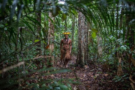 Unsung Stewards Indigenous Tribes Helping In Wildlife Conservation