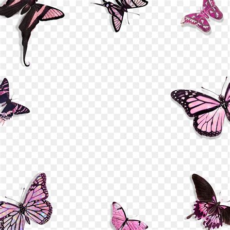 Pink Holographic And Glittery Butterfly Premium Png Rawpixel