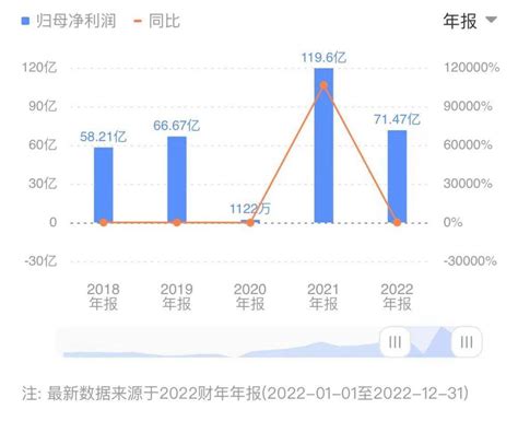 华晨中国2022年净利下滑40：控股股东华晨集团再度招募破产重整投资人宝马集团汽车华晨宝马