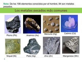 Metales Pesados Josecito Bravo Ppt