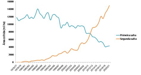 Cigarrinha do milho no Brasil como explicar o aumento na ocorrência