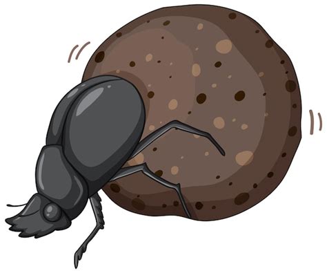 Free Vector Dung Beetle At Work Illustration