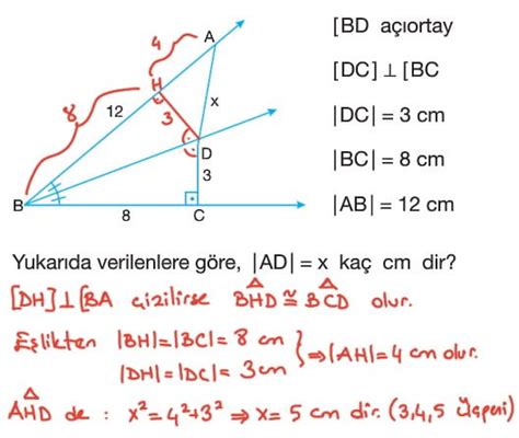 Genlerde Benzerlik Test Z Z Ml Sorular S N F Yeni Nesil Sorular