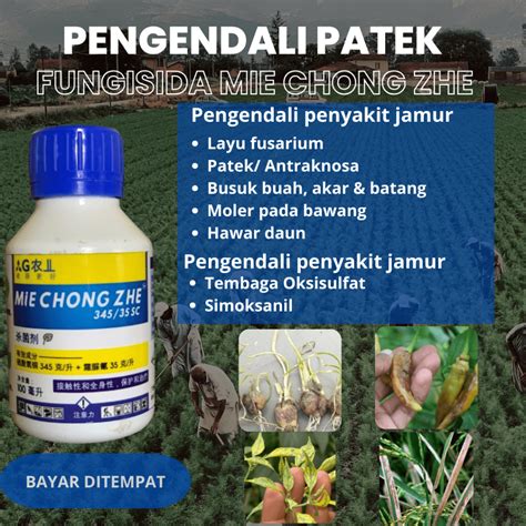 Jual Fungisida Mie Chong Zie Pengendali Penyakit Jamur Pada Tanaman Isi