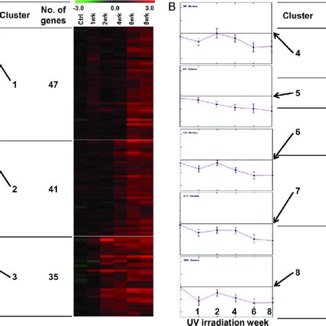 K Means Clustering Was Performed To Cluster The Genes According To