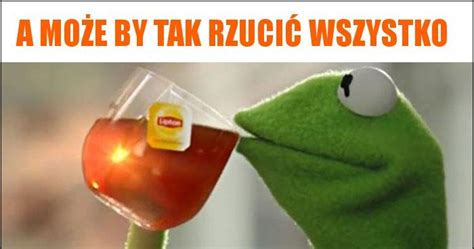 A może by tak rzucić wszystko memy gify i śmieszne obrazki facebook