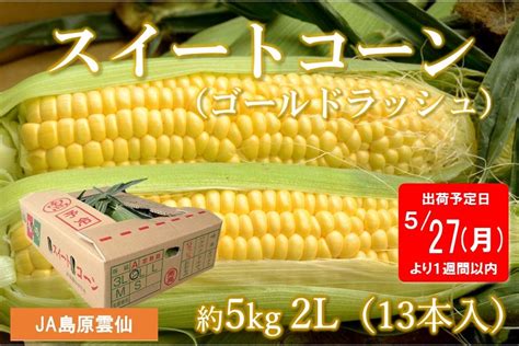 【予約販売】527以降出荷★スイートコーン（ゴールドラッシュ） もぐもぐながさき【jaタウン】産地直送 通販 お取り寄せ