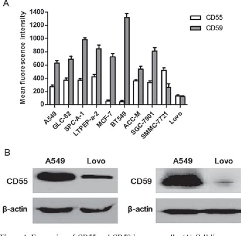 Figure 1 From Effect Of Membrane Bound Complement Regulatory Proteins