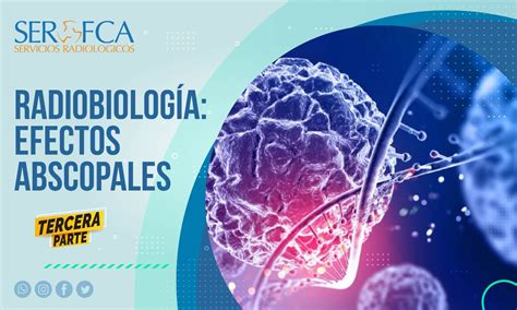 Conversatorios de protección Radiológica de América Latina y el Caribe Efectos Abscopales SEROFCA