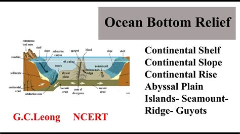 Abyssal Plain Diagram