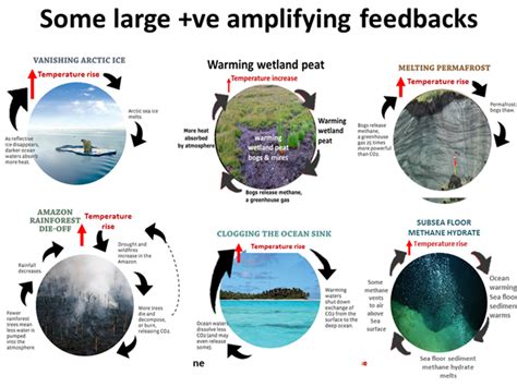 Earth Overview Blog Series Part 3 How Earths Feedback Loops Are