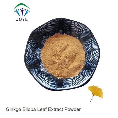 100 Natural Ginkgo Biloba Leaf Extract Powder China Ginkgo Biloba