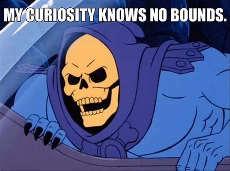 Skeletor Affirmations Skeletor Quotes Skeletor Stupid Funny Memes