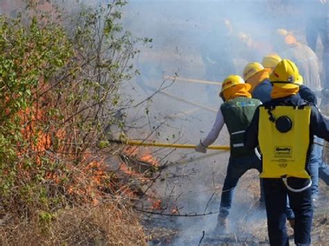 La campaña de prevención de incendios forestales fue presentada