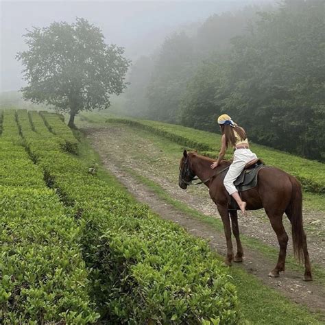 Horse Aesthetic, Old Money Aesthetic, Dream Lifestyle, Travel Lifestyle ...