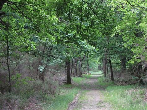 Les espaces naturels de Haute Garonne ré ouvrent dès aujourd hui