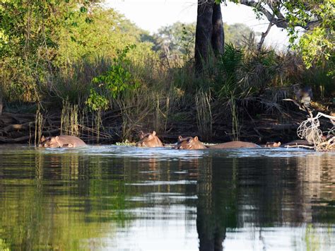 Safaris To Kafue National Park Zambia