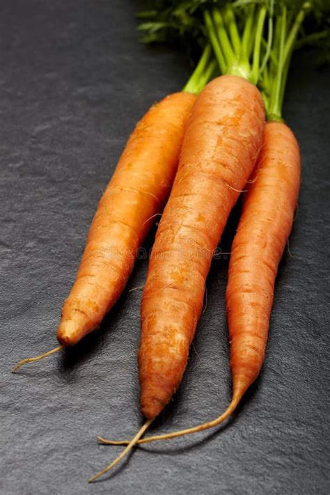 Carrots With Green Stock Photo Image Of Carrot Vegetable 27120654