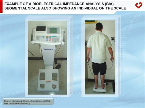 Example Of A Bioelectrical Impedance Analysis Bia Segmen Flickr