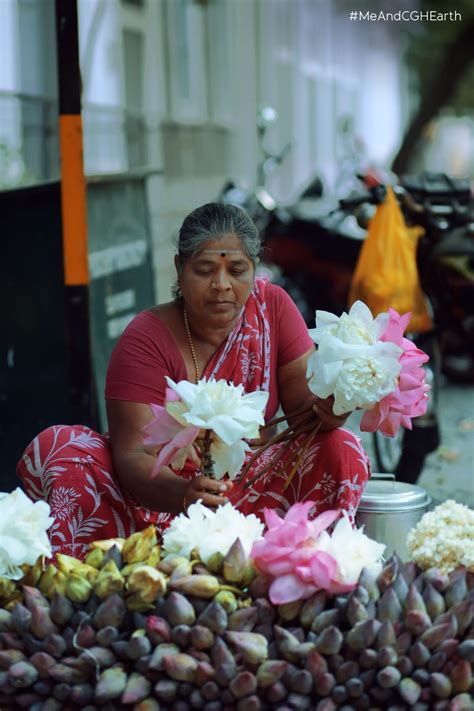 Explore the Tamil quarter of Pondicherry and discover the history ...