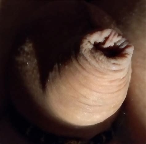 My Tiny Sissy Clit Nude Pics XHamster