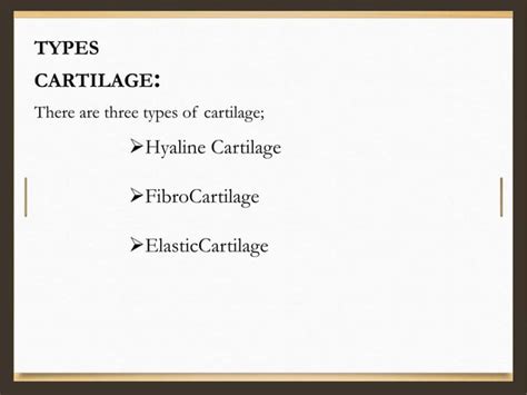 Cartilage Structure And Its Function Ppt