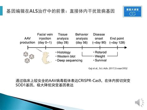 赛福基因公开课高通量筛选在渐冻症药物研发中的应用 基因大讲堂 赛福基因 让每一个孩子更健康