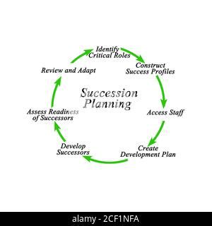 Componentes Del Proceso De Planificaci N De Sucesi N Fotograf A De