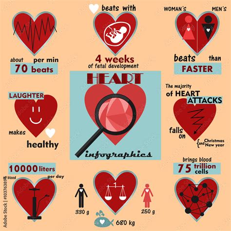 Info Graphics And Interesting Facts About The Human Heart Stock Vector