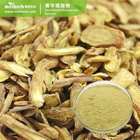 Scutellaria Baicalensis Extract Powder Baicalin Baicalein Wogonin