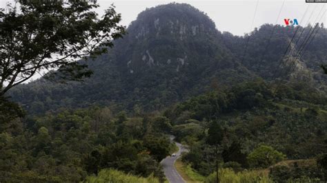 Por qué Nicaragua podría perder sus bosques en 20 años