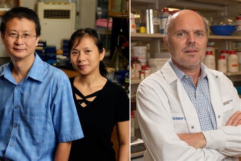 Virginia Tech Researchers Win Alzheimer S Research Awards From Virginia