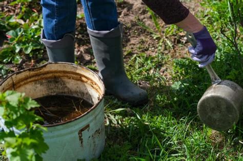 Which Kinds of Manure Are Best for Your Garden?