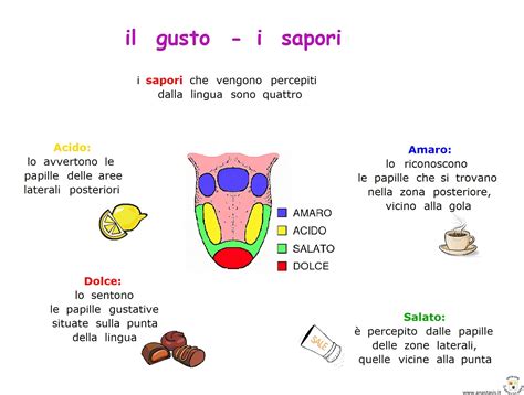 Paradiso Delle Mappe Il Gusto I Sapori