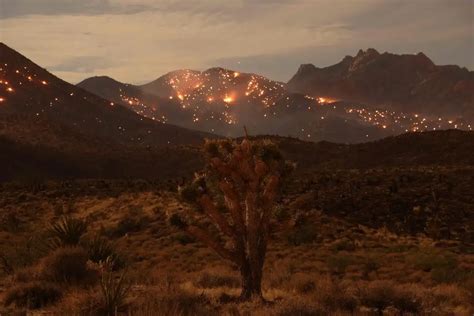 La Jornada El 2023 fue el año más caluroso en la historia del planeta