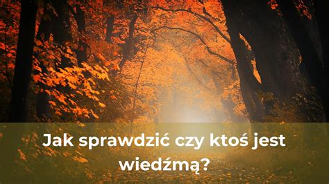 Jak Sprawdzi Czy Kto Jest Wied M Wizards Unite