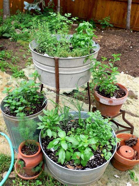 The Basics Of Herb Gardening In Containers