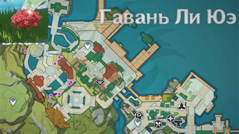 Где найти Шелковицу в Genshin Impact