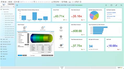 Sap Business One Erp Review Pricing Features Shortcomings