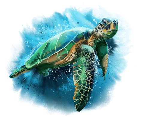 About Sea Turtle Foundation