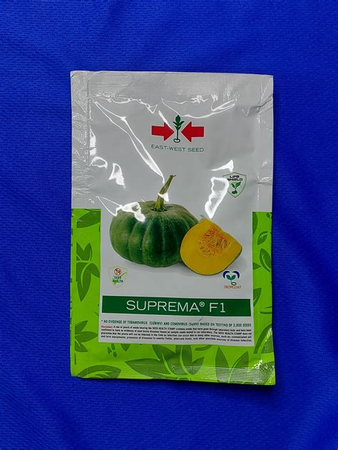 Suprema F1 120 Seeds Hybrid Squash Kalabasa By East West Seed