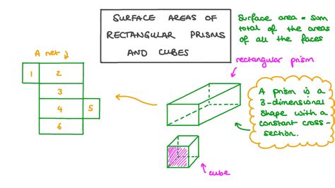 Nets Rectangle Surface Area Nets Ms Roy S Grade 7 Math In Euclidean