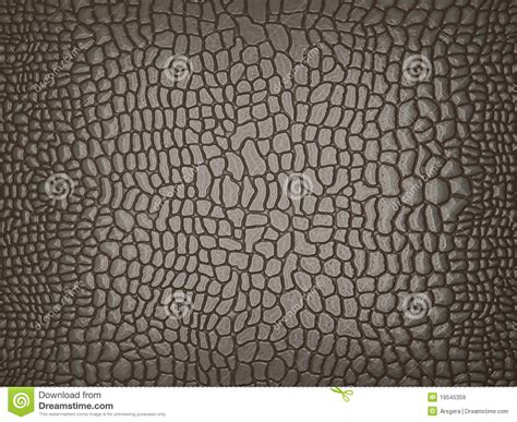 Alligator Skin Useful As Texture Or Background Stock Image Image Of