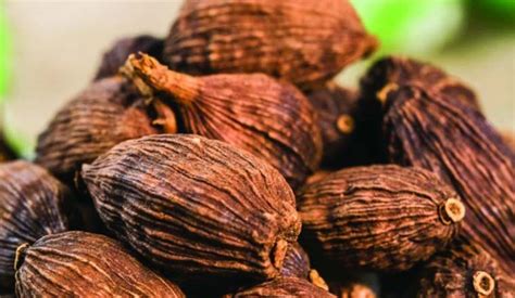 Kinh nghiệm hay, cách chọn mua thực phẩm tại BachhoaXANH.com