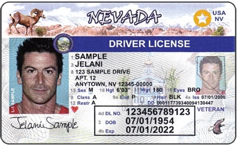 If Your Nevada Drivers License Is Expiring Consider A Real Id