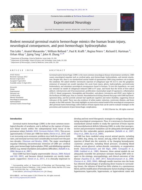 Pdf Rodent Neonatal Germinal Matrix Hemorhage Mimics The Human Brain