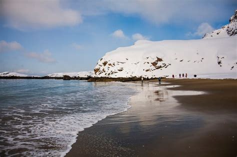 Premium Photo | Winter in lofoten islands, northern, norway.