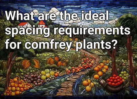 What Are The Ideal Spacing Requirements For Comfrey Plants