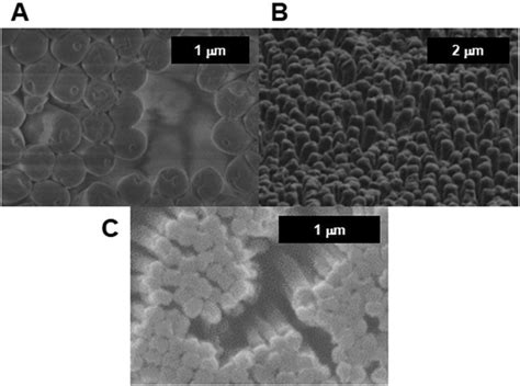 Sem Images Of Fe O Pnipam Nanopillars A Top View And B Side