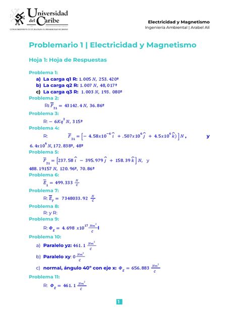 Problemas De Electricidad Y Magnetismo Pdf Vector Euclidiano